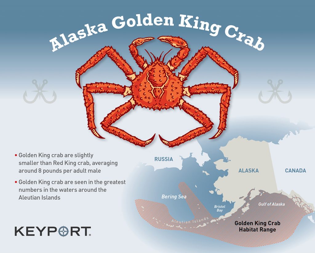 Alaska Golden King Crab