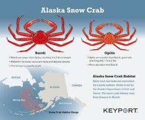 Alaska Snow crab Infographic